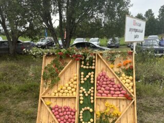 День картофельного поля Grimme 2023 в Костроме
